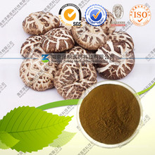 Extracto natural Inonotus Obliquus Chaga Polysaccharide